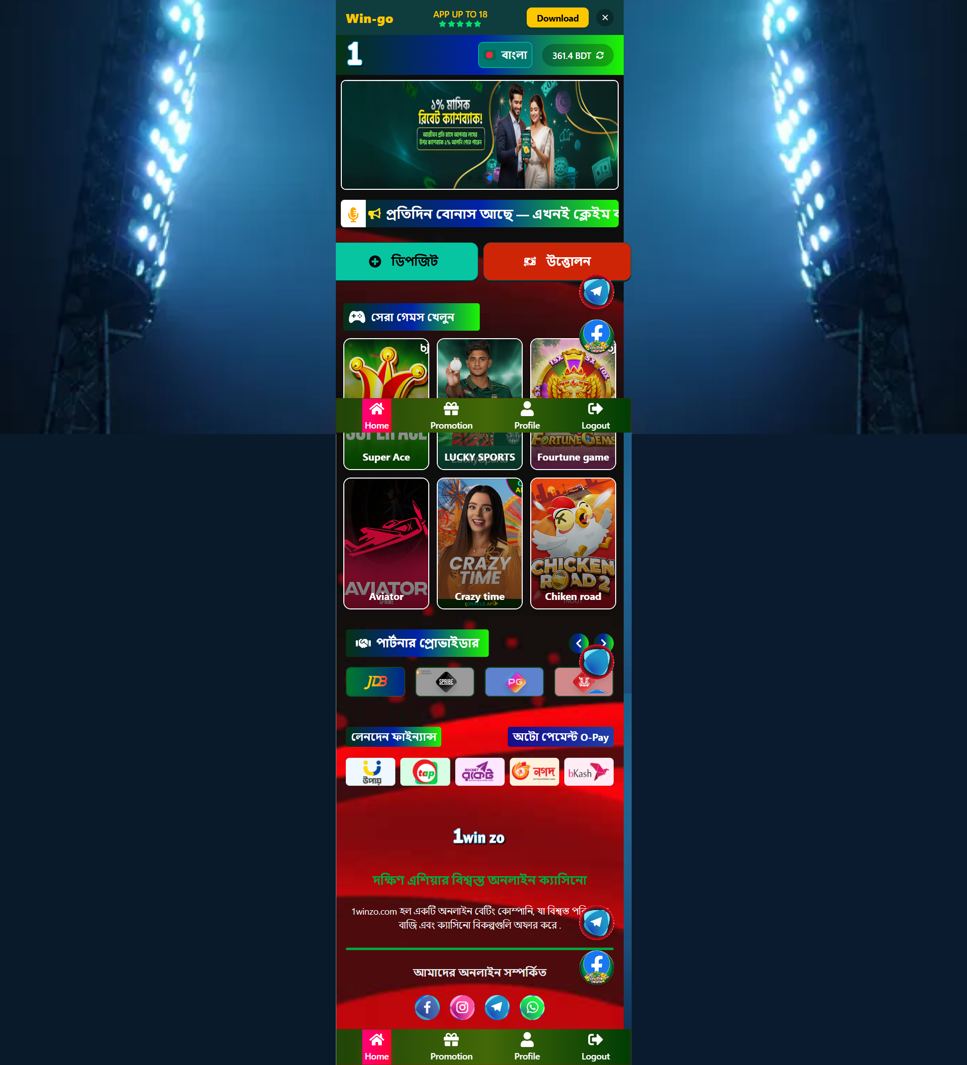 Website Preview