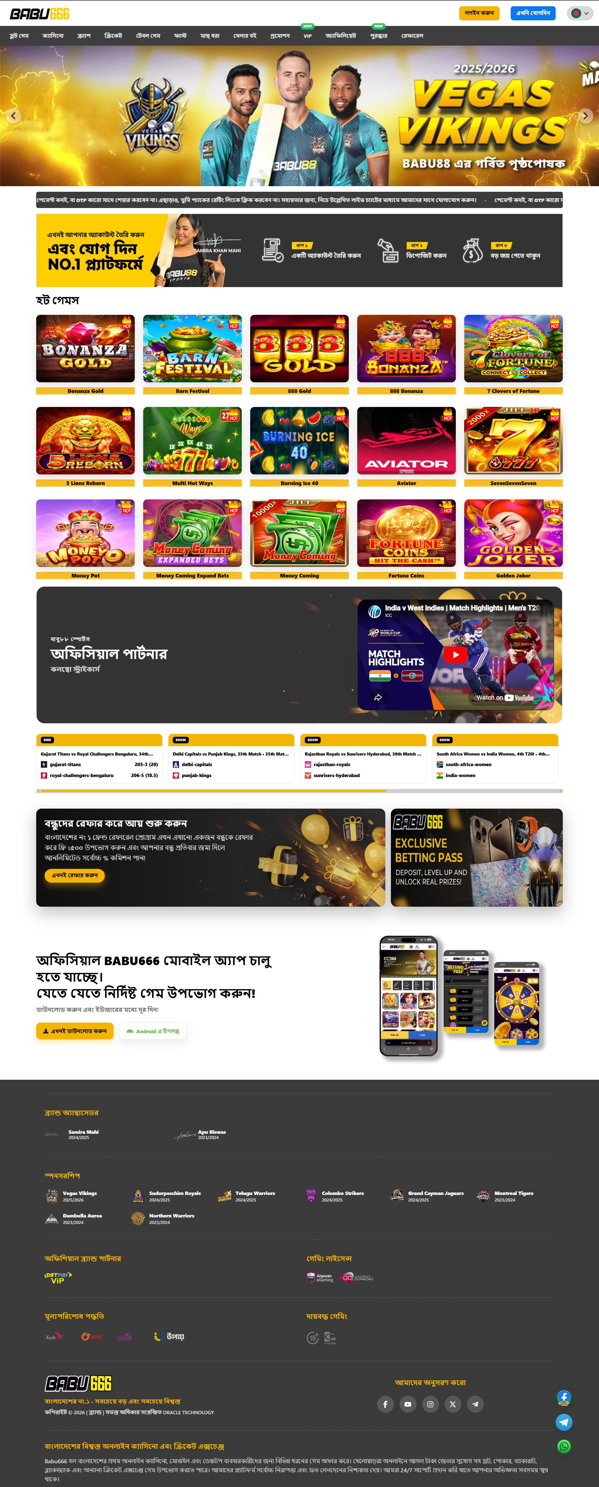 Website Preview
