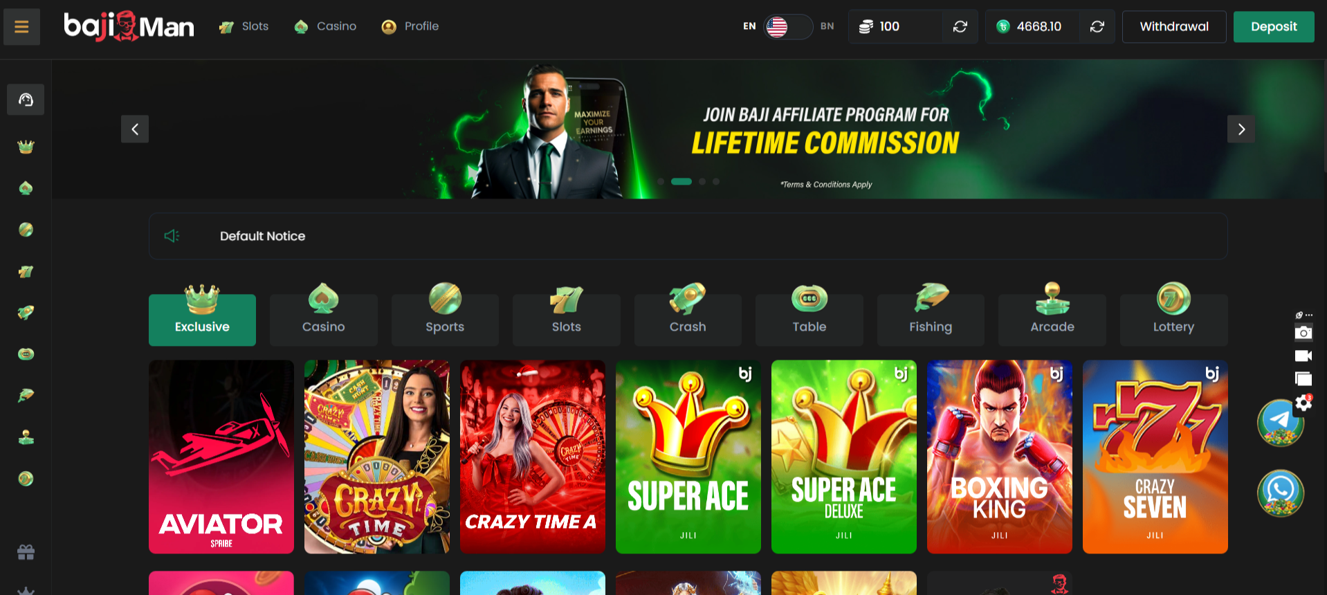 Website Preview
